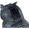 Paukščių baidyklė - Pelėda, švytinčiomis akimis