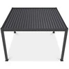 Pavėsinė Pergola DELUXE PRO AUTOMATIC 4x4 su LED, Anthracite