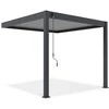 Pavėsinė Pergola ELEGANCE WALL 3x3, Anthracite/Light Pilkas, montuojama prie sienos