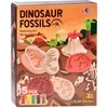 Plastilino rinkinys Dinozaurų fosilijos
