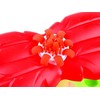 Plastilino rinkinys Tree squeezer