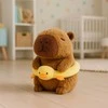 Pliušinis žaislas Kapibara su gelbėjimosi ratu su ančiuku, 20 cm
