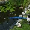 Plokščia vandens žarna Bradas AQUA-FLAT Backwash, PE/EVA, 1 Bar, 2" - 30m