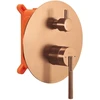 Potinkinis dušo komplektas REA Argon, Brushed Copper, + Box