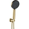 Potinkinis dušo komplektas REA Foster, Brushed Gold, + BOX