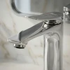Praustuvo maišytuvas PREMIUM REA Vision Low, Chrome