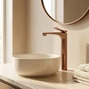 Praustuvo maišytuvas PREMIUM REA Vision High, Brushed Copper