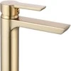 Praustuvo maišytuvas Rea Argus High, Brushed Gold