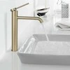 Praustuvo maišytuvas REA Clif High, Brushed Gold