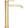 Praustuvo maišytuvas REA Clif High, Brushed Gold