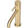 Praustuvo maišytuvas REA Clif Low, Brushed Gold