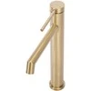 Praustuvo maišytuvas Rea Foss High, Brushed Gold