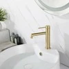 Praustuvo maišytuvas Rea Foss Low, Brushed Gold