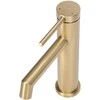 Praustuvo maišytuvas Rea Foss Low, Brushed Gold