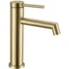 Praustuvo maišytuvas Rea Foss Low, Brushed Gold