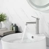 Praustuvo maišytuvas Rea Foss Low, Brushed Nickel Inox