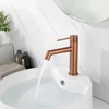 Praustuvo maišytuvas Rea Foss Low, Brushed Copper