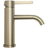 Praustuvo maišytuvas Rea Foster Low, Brushed Gold