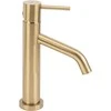 Praustuvo maišytuvas REA Level Low, Brushed Gold