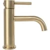Praustuvo maišytuvas REA Lungo Low, Brushed Gold