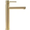 Praustuvo maišytuvas REA Tess High, Brushed Gold