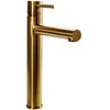 Praustuvo maišytuvas REA Tess High, Brushed Gold