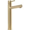 Praustuvo maišytuvas REA Tess High, Brushed Gold
