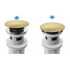 Praustuvo sifonas REA Flow su Click-Clack, Brushed Gold