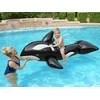 Pripučiamas plaustas Bestway Orka, 203x102 cm