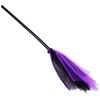 Raganos kostiumas, violetinis