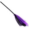 Raganos kostiumas, violetinis
