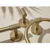 Rankšluosčių kabykla Rea Galo 5701, Brushed Gold
