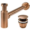 Sifonas REA su Klik-klak dangteliu praustuvams universalus, Brushed Copper