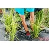 Sodo agroplėvelė, 90 g/m2, 1x50 m, juoda