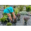 Sodo agroplėvelė, 90 g/m2, 1x50 m, juoda