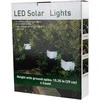 Soliarinis LED sodo šviestuvas ECOBRIGHT, 4 vnt