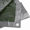 Sustiprintas tentas Bradas Sidabrinis, 4 x 6 m, 120 g/m²