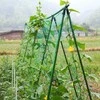 Tinklas augalams paremti, 1,8x2,7 m