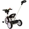Triratis dviratukas PRO100, juodas