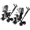 Triratukas su stogeliu Tiny Bike 3in1, pilkas