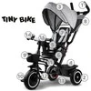 Triratukas su stogeliu Tiny Bike 3in1, pilkas