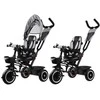Triratukas su stogeliu Tiny Bike 3in1, pilkas