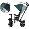 Triratukas su stogeliu Tiny Bike 3in1, žalias