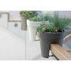 Vazonas LOFLY RAILING, 245 mm