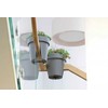 Vazonas LOFLY RAILING, 245 mm