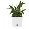 Vazonas Rato Low, 320 mm