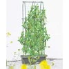 Vazonas su atrama agurkams CUCU GROW BOX, 60x30x178 cm
