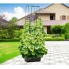 Vazonas su atrama agurkams CUCU GROW BOX, 60x30x178 cm