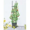 Vazonas su atrama pomidorams TOMATO TUBE, 8x28x148 cm