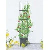 Vazonas su atrama pomidorams TOMATO TUBE, 8x28x148 cm